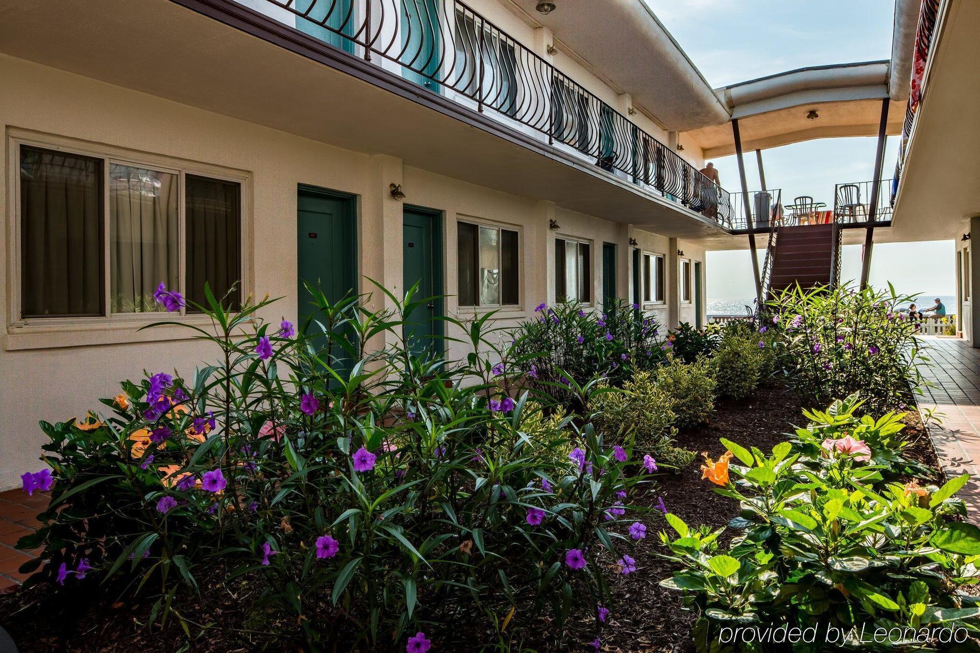 Beach Plaza Hotel Ocean City Ngoại thất bức ảnh